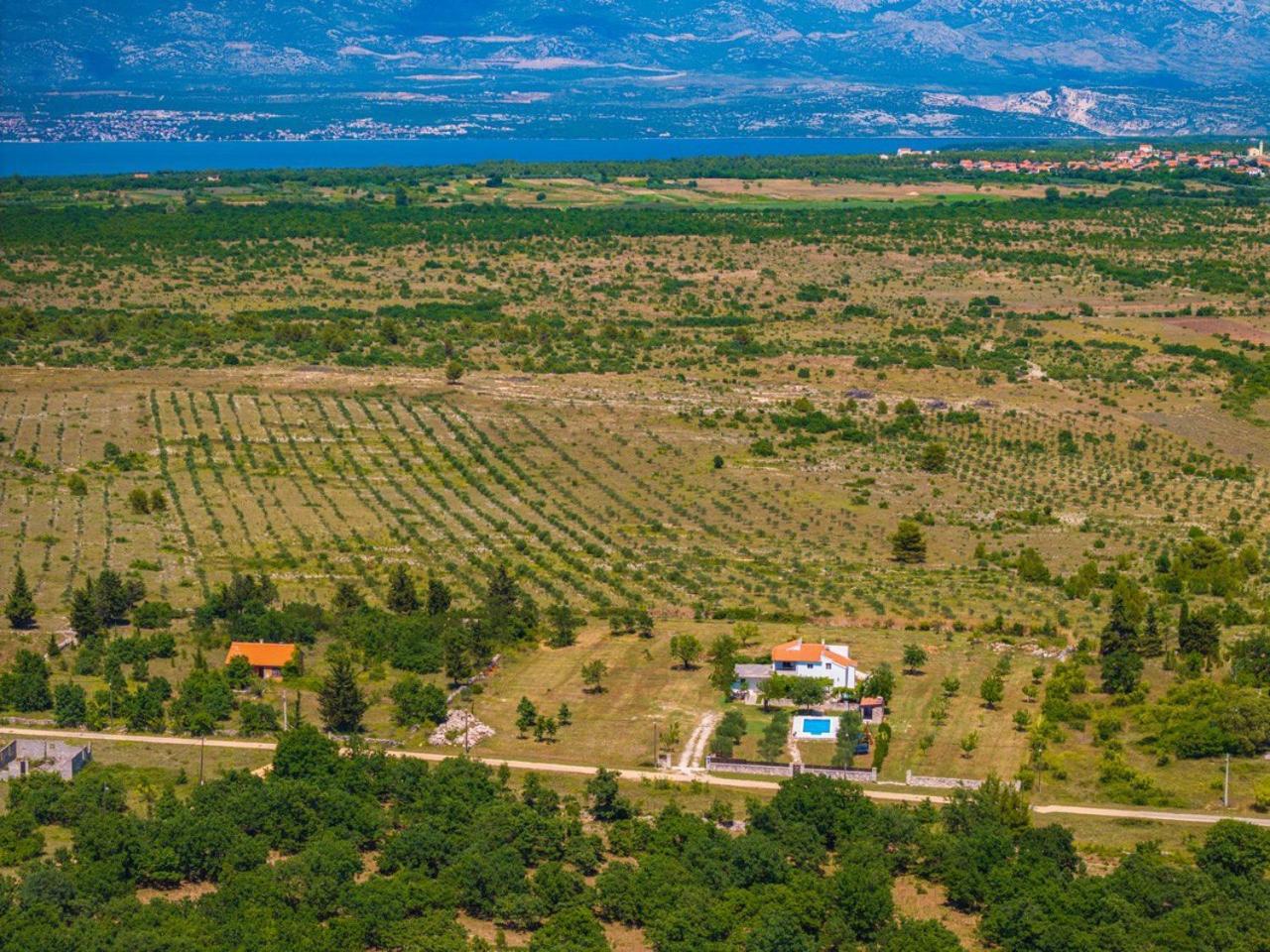 Villa Mandorla With Private Pool Zadar Ngoại thất bức ảnh